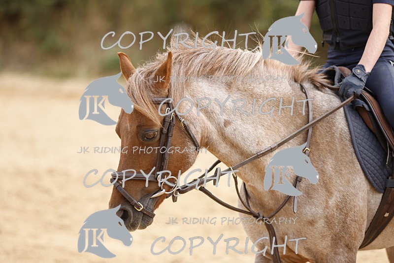 _R6A0928 - Sand arena