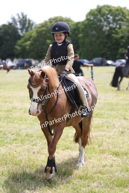 20260614-1991 - Class 21 - Novice Working Hunter Pony