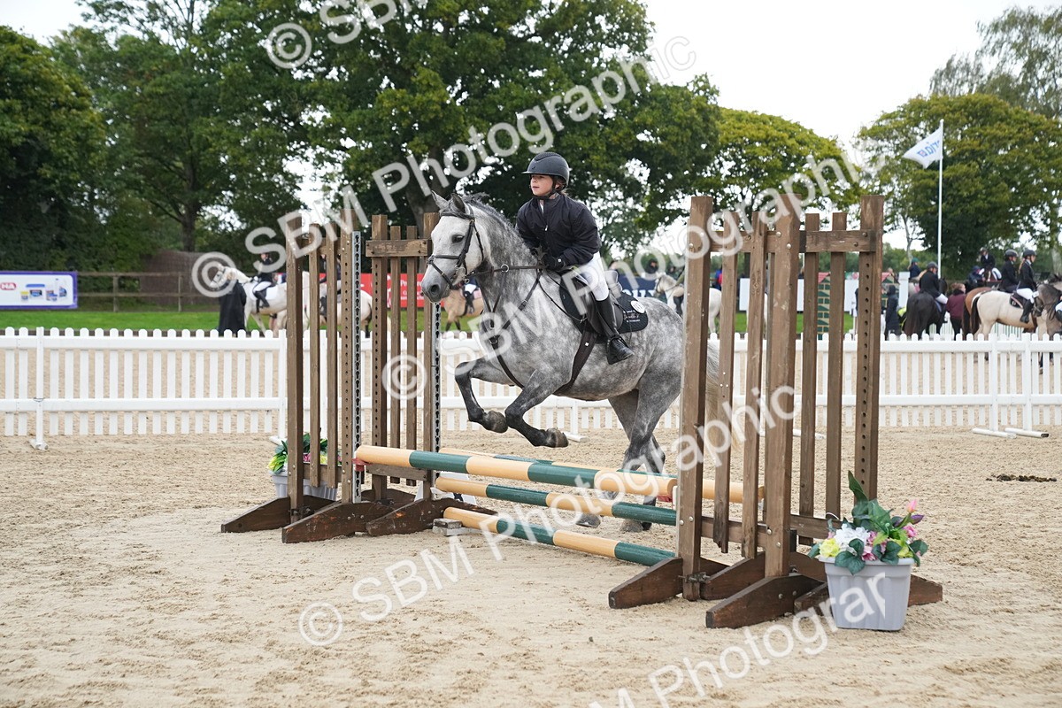 SBM_01454 - J54 - Clear Round 50cm