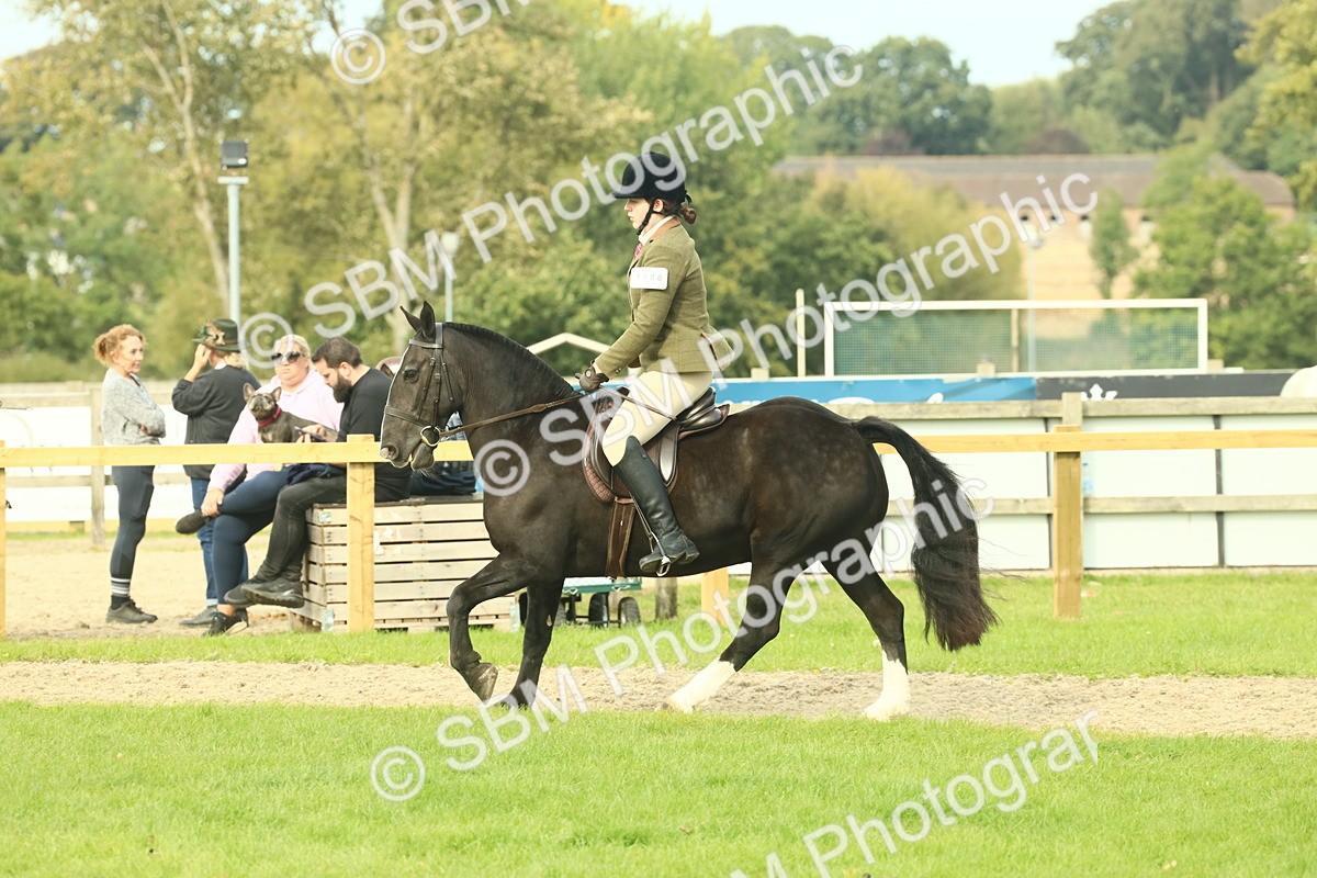 SBM_68258 - S58 - Mini Show Cob Ridden