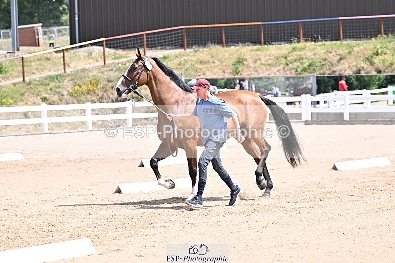 250716-124705-00164 - Trot Up 12.30 to 1.30