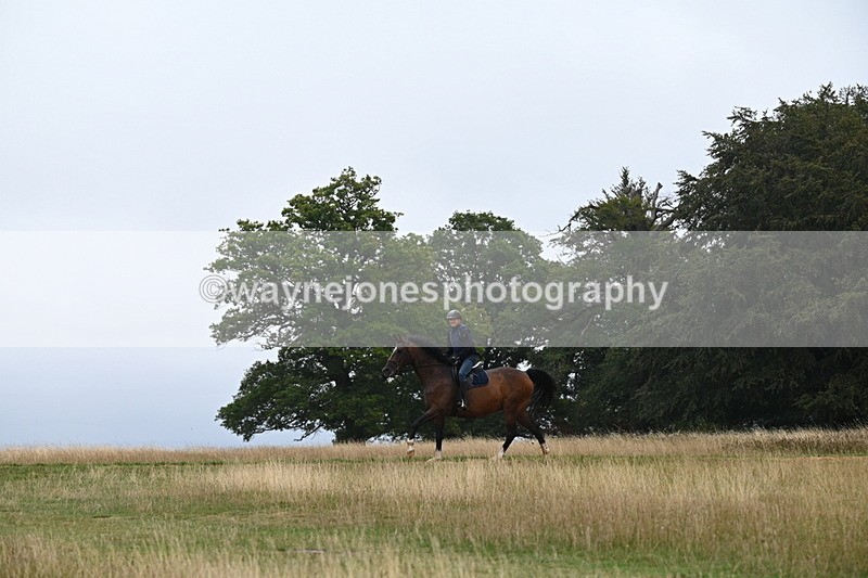 DSC_0292 - Time at Statue 09:51 to 10:54