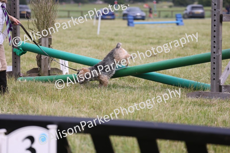 20260614-4375 - Class 25 - Horse and Hound Jumping