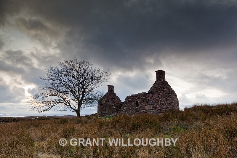 Abandoned and set alight - due to consumption (TB) - The beauty of decay