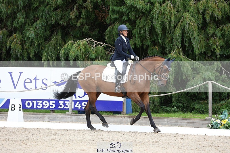 230812-150518-05045 - Cls 5 Novice Bronze 15.00 to End