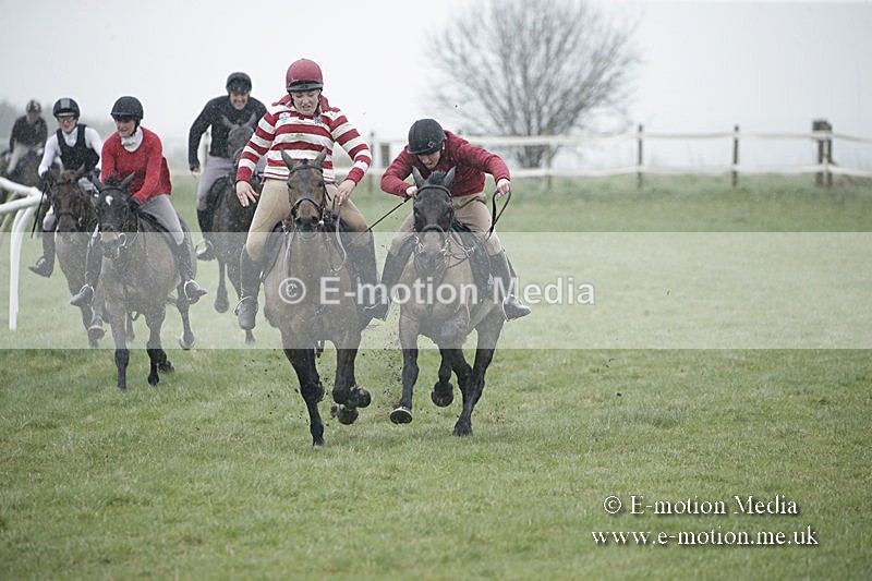 PtP 150320 0008 - New Forest Point-to-Point Larkhill 15/03/20