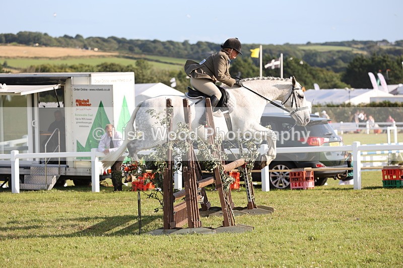 JPP_3396 - Class 22: Working Hunter 90cm