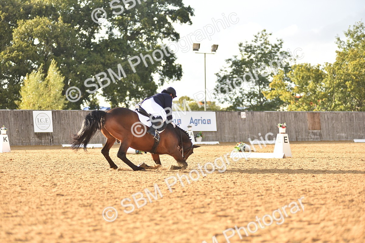 SBM_29791 - D16 -Small Tour Championship Novice 2