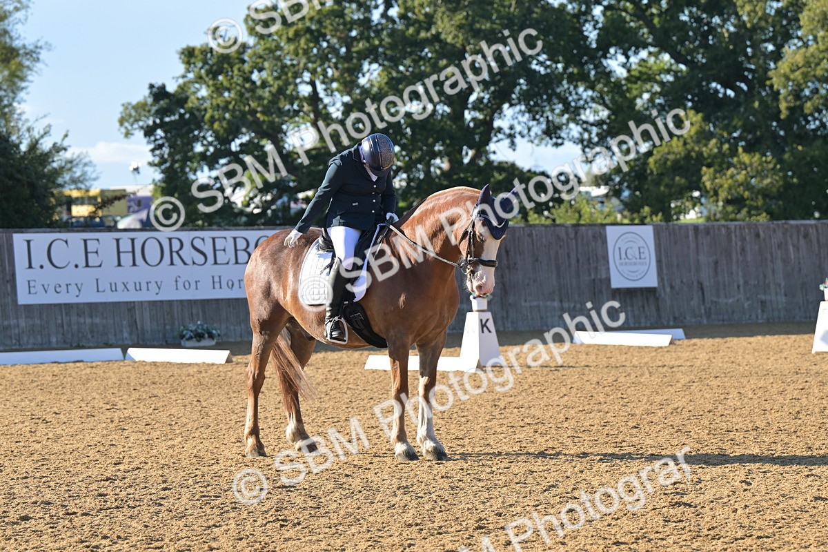 SBM_13005 - D3 - Small Tour Championship Intro 3
