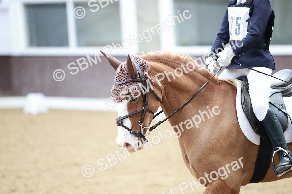 SBM_003961 - Class 2 - Novice 2020