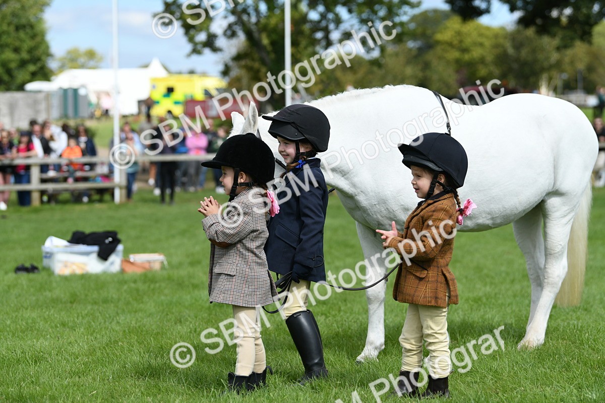 SBM_46807 - S12 - Family Horse & Pony