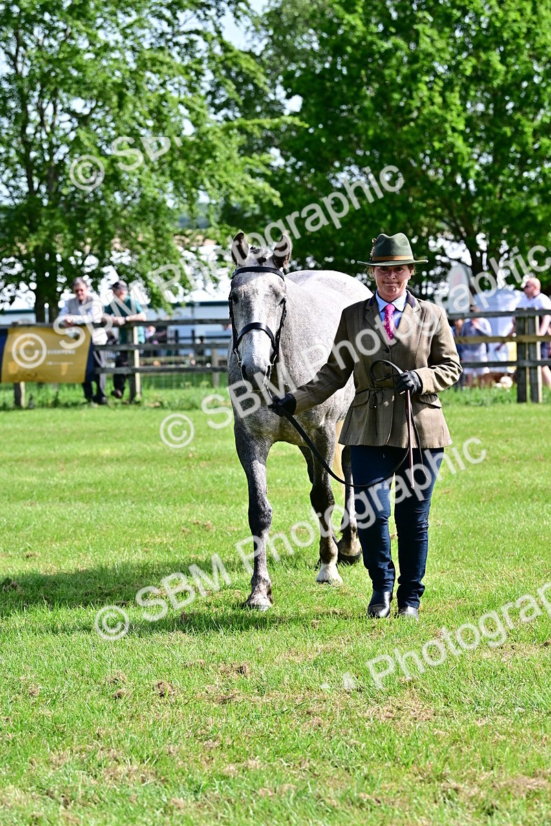 SBM_03321