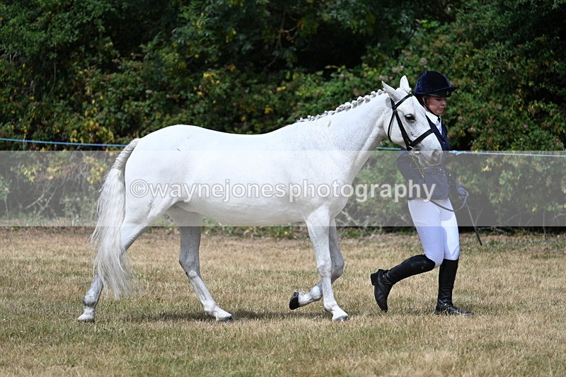 WJ7_1627 - Class 4 Prettiest Mare up to 14.2hh in hand