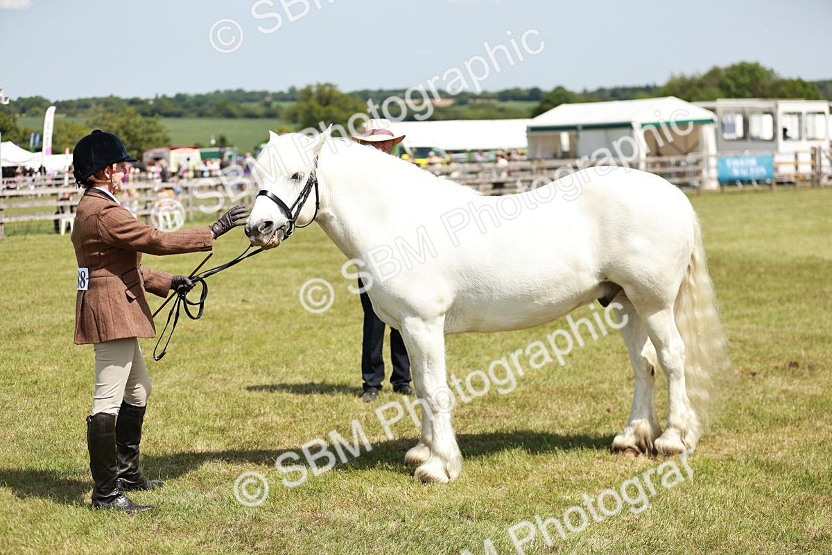SBM_07143 - Class 26-30 - Mountain and Moorland Ridden
