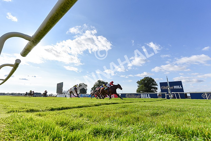 020825-Race 8-Dandy Dinmont-8307 - Race 8