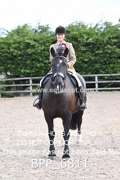 BPP_6811 - RING 1  (RIDDEN HORSES / IN HAND / VETERAN ETC)