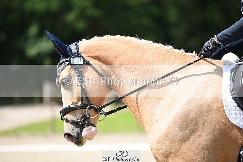 240605-113714-00795 - Cls 2 Prelim 19 SQ