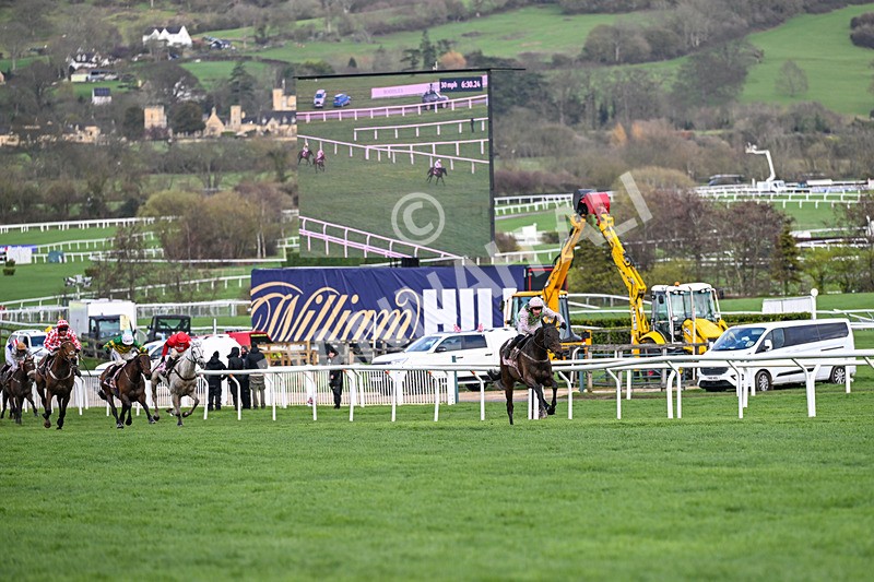 130326-Race 5-Gaelic Warrior-2582 - 13th March