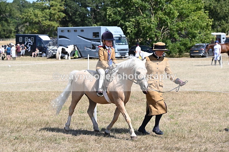 WJ6_9153 - Championship Classes 33-38