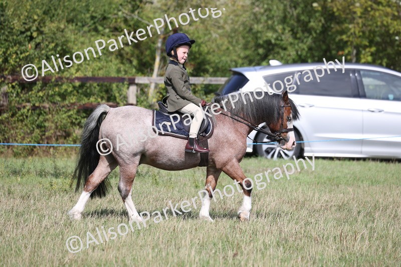 20260906-2564 - Class 18 - Childs First Pony