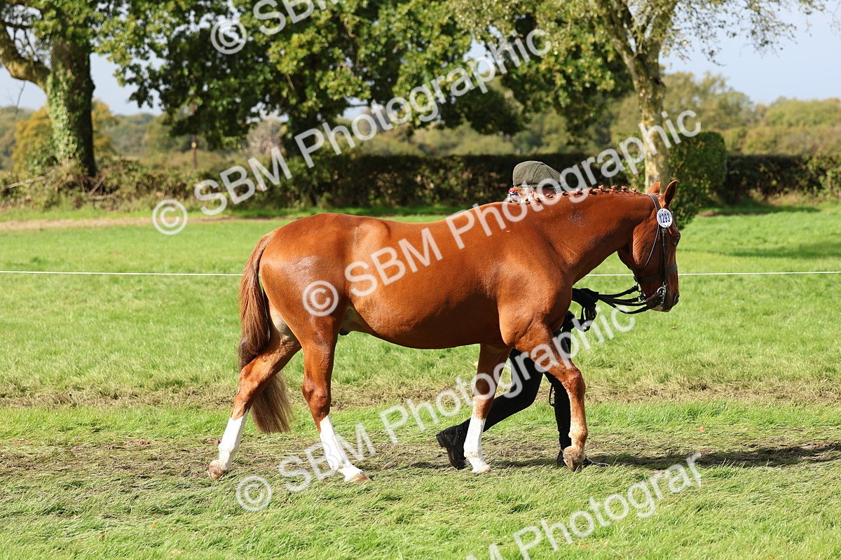 SBM_39417 - S24 - Young Veteran In Hand