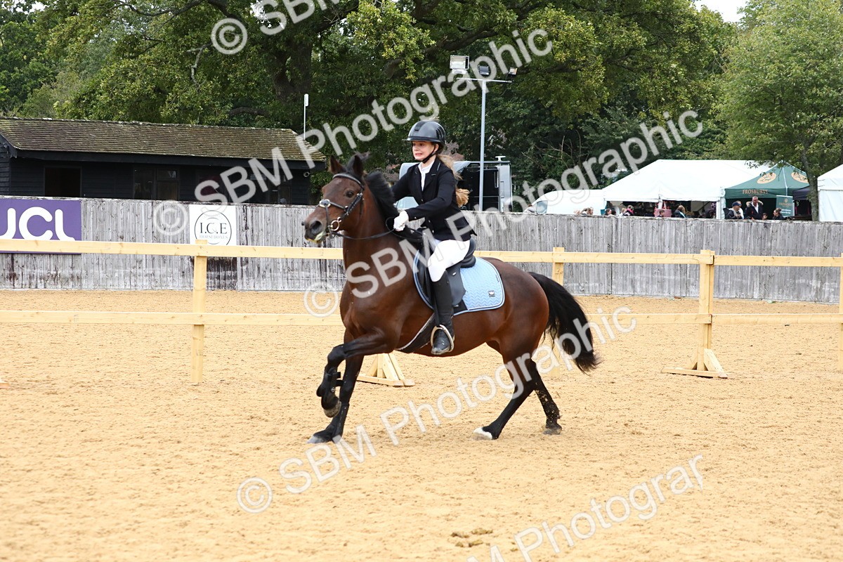 SBM_62348 - J64 - Junior Pony 60cm Championship