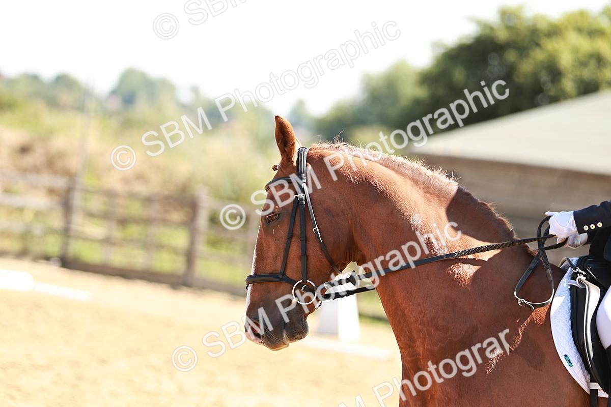 SBM_001661 - Class 13 - DR P2