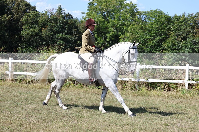 3E7A6376 - Working Hunter Championship