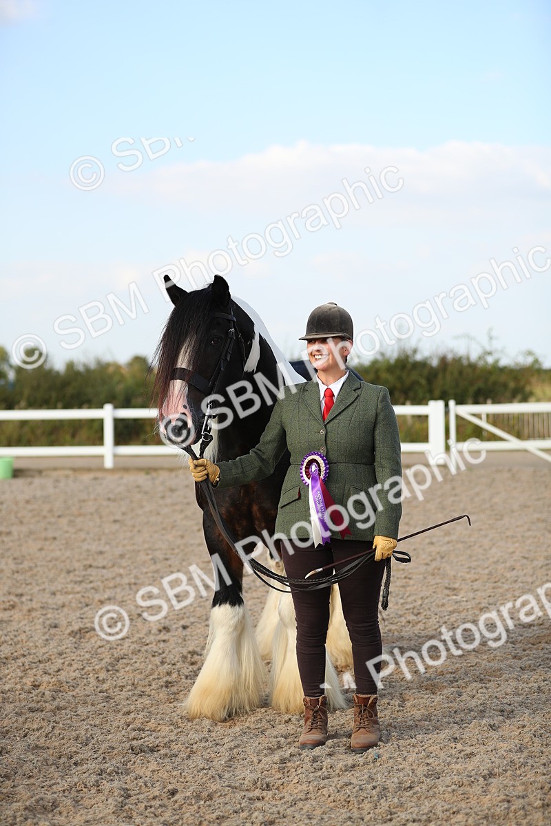 SBM_08705 - Class 28 - IH Veteran Horse