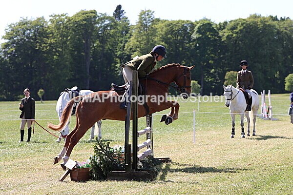 IMG_4560 - Working Hunter