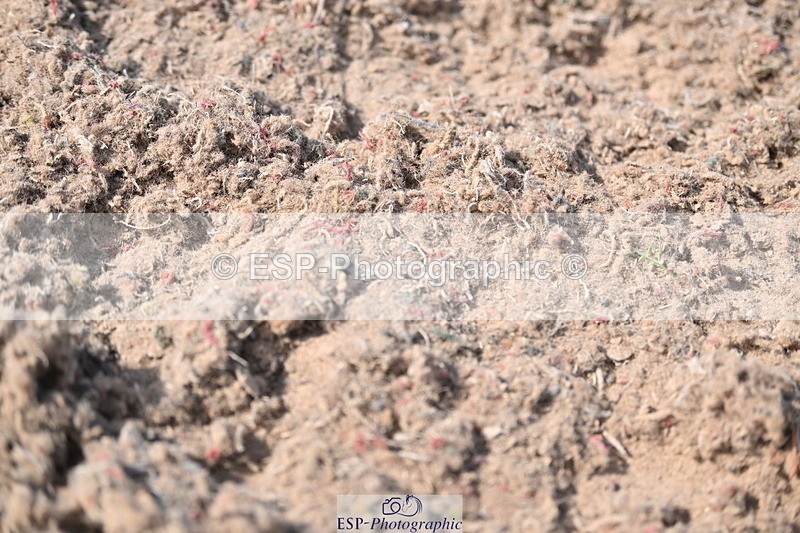 240622A-164749-12941 - Cls 40 BD FEI Intermediate I