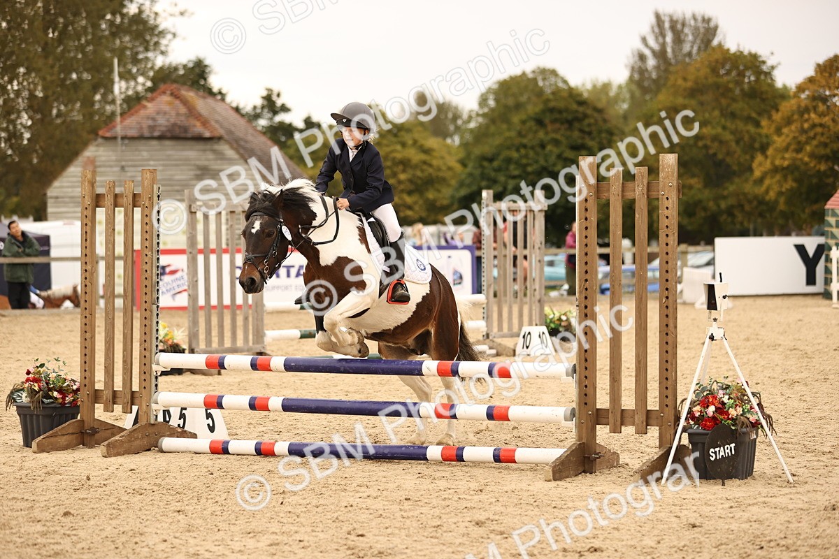 SBM_74252 - J14 - Junior Pony 65cm Championship