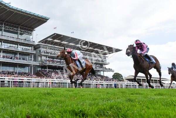yr11062022r2-99 - Race 2 2.00pm Queen Mother's Cup