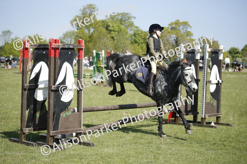 20250427-2149 - Class 13 - Novice Jumping 60cm