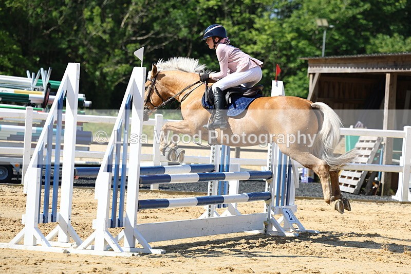 3E7A8946 - Class 4: Pony British Novice/80cm open
