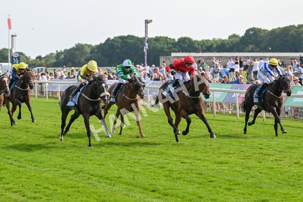130625-Race 6-Forager-9923 - Race 6 4.45pm Constant Security Services Handicap