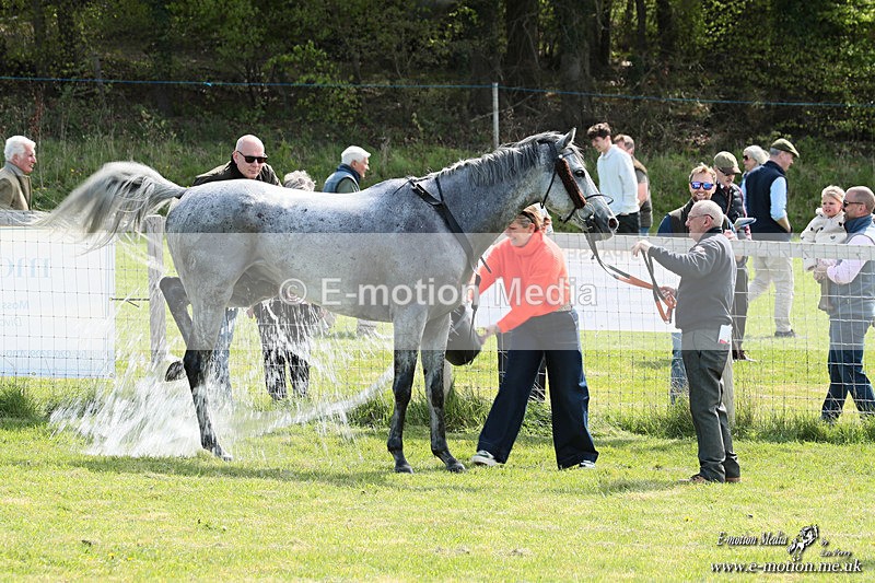 PtP 190426 295 - Vine & Craven PtP Kingston Blount 19/04/26