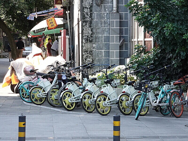 CHINA__0286 - China 2019