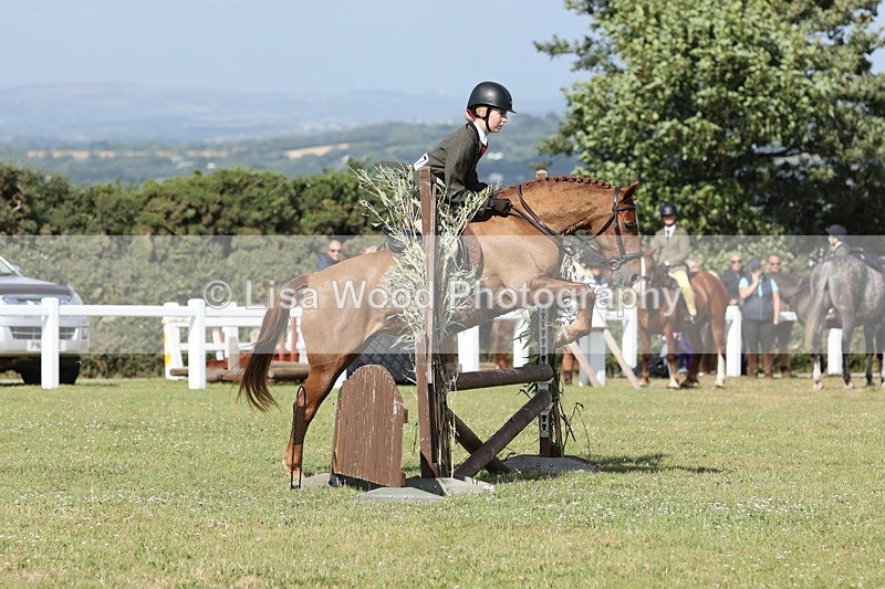 JPP_2728 - Class 20: Working Hunter 70cm