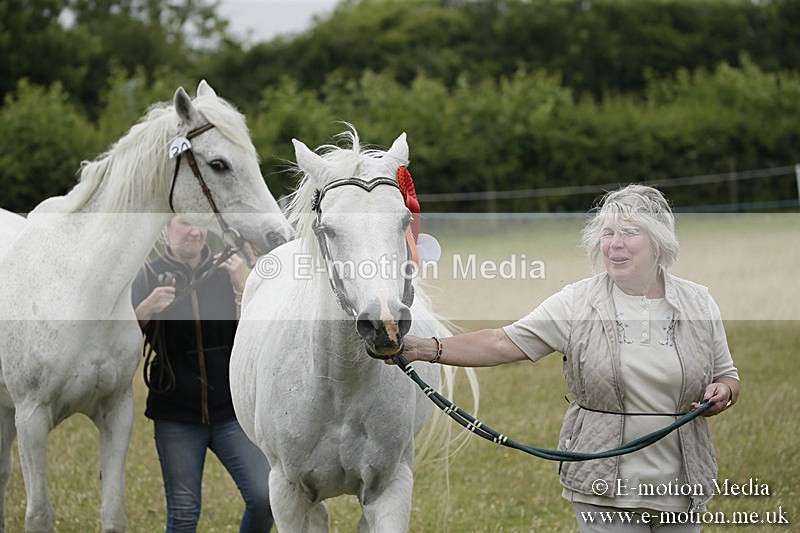 B230619-0602 - Bourne Valley Riding Club Summer Show 23/06/19