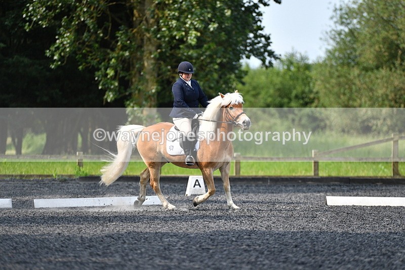 WJ5_9196 - Time 10:10 to 10:47