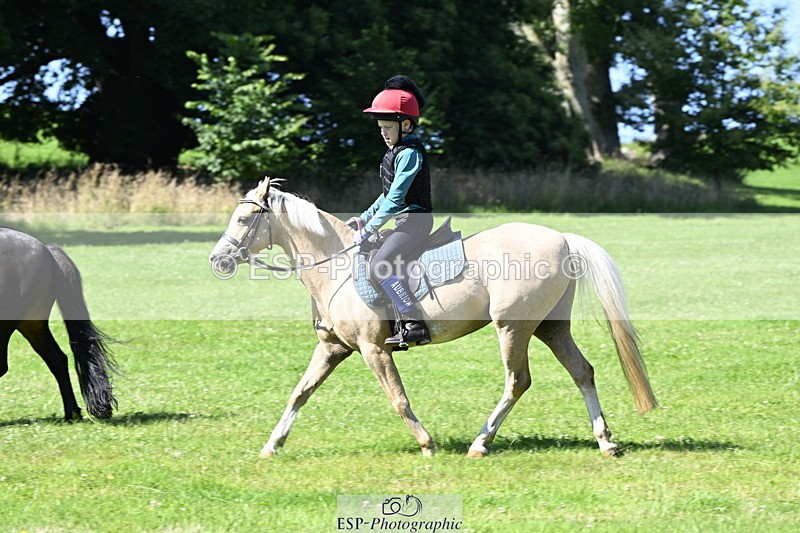 240728B-102237-00658 - Theo's Group XC