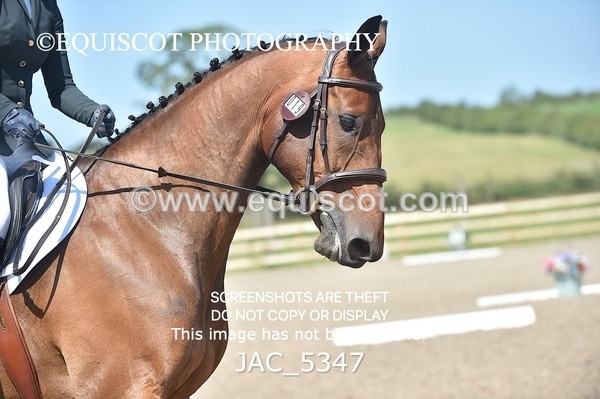 JAC_5347