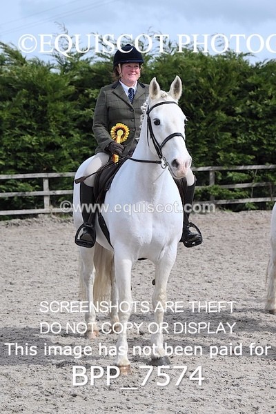 BPP_7574 - RING 1  (RIDDEN HORSES / IN HAND / VETERAN ETC)