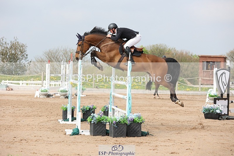 250424-105019-03253 - Cls 33 Young Horse 7yr old