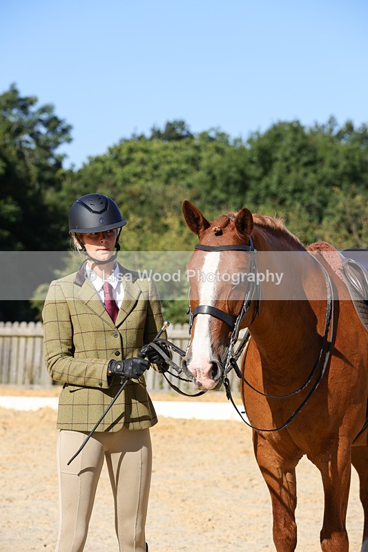 1X9A7814 - Class 9: Open Ridden Hunter