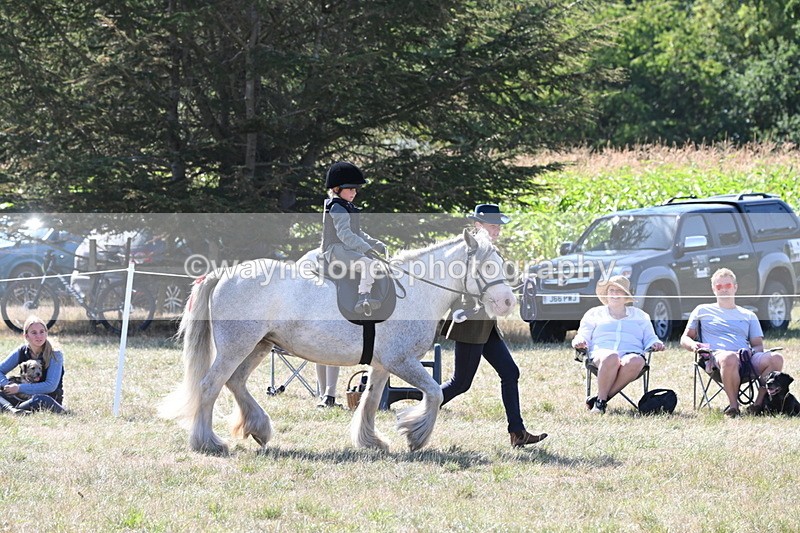 WJ6_7909 - Class 36 Lead Rein