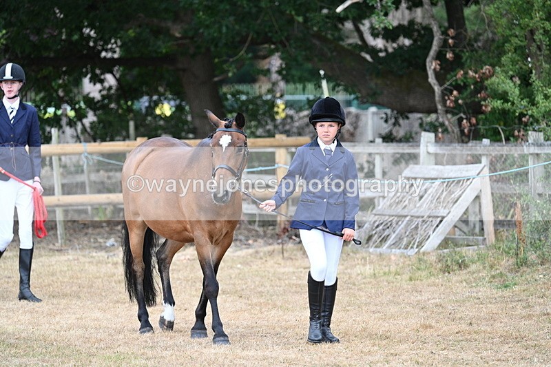 WJ7_9448 - Class 5 Most Handsome Gelding (up to 14.2hh)