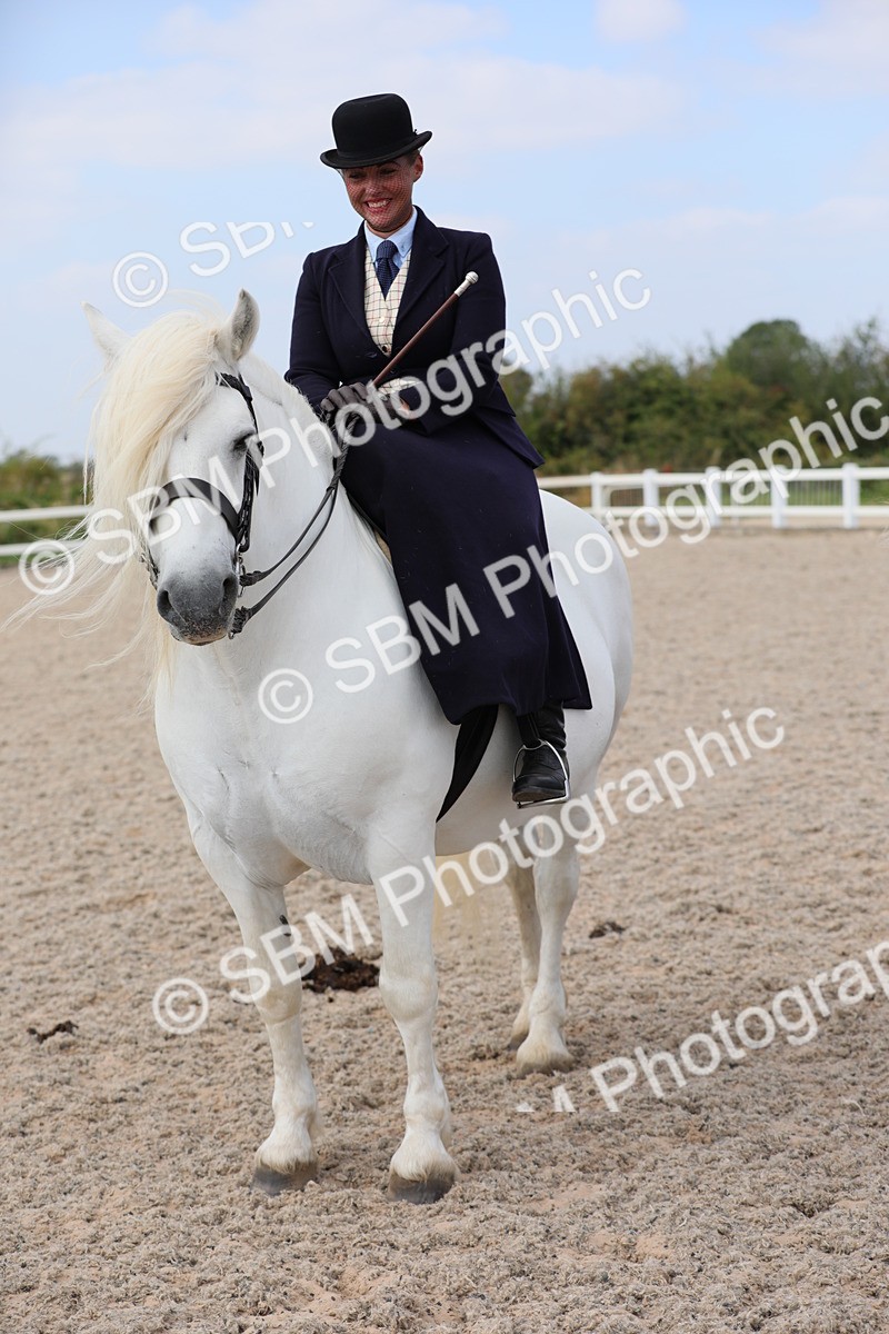 SBM_14612 - Class 211 Best Side Saddle Horse/Pony
