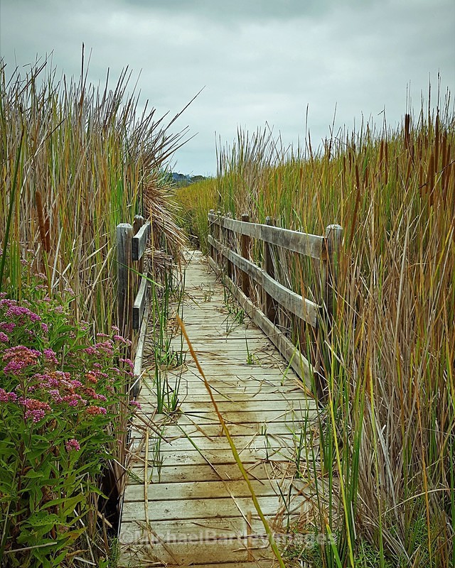 Walking Bridge - Style Images
